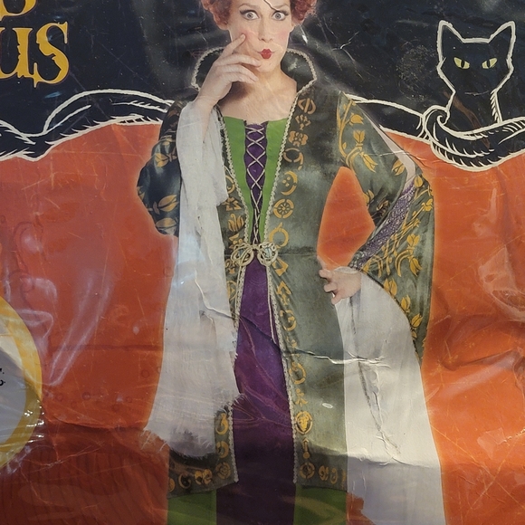 Hocus Pocus costume SOLD - Picture 5 of 8